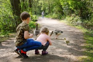 kids in nature feeding geese