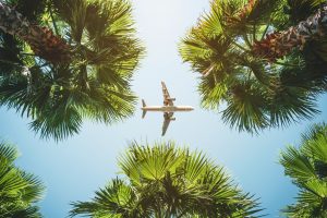 plane flying overhead amongst tropical trees