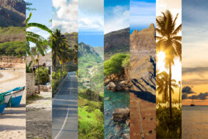 collage of various vacation destinations