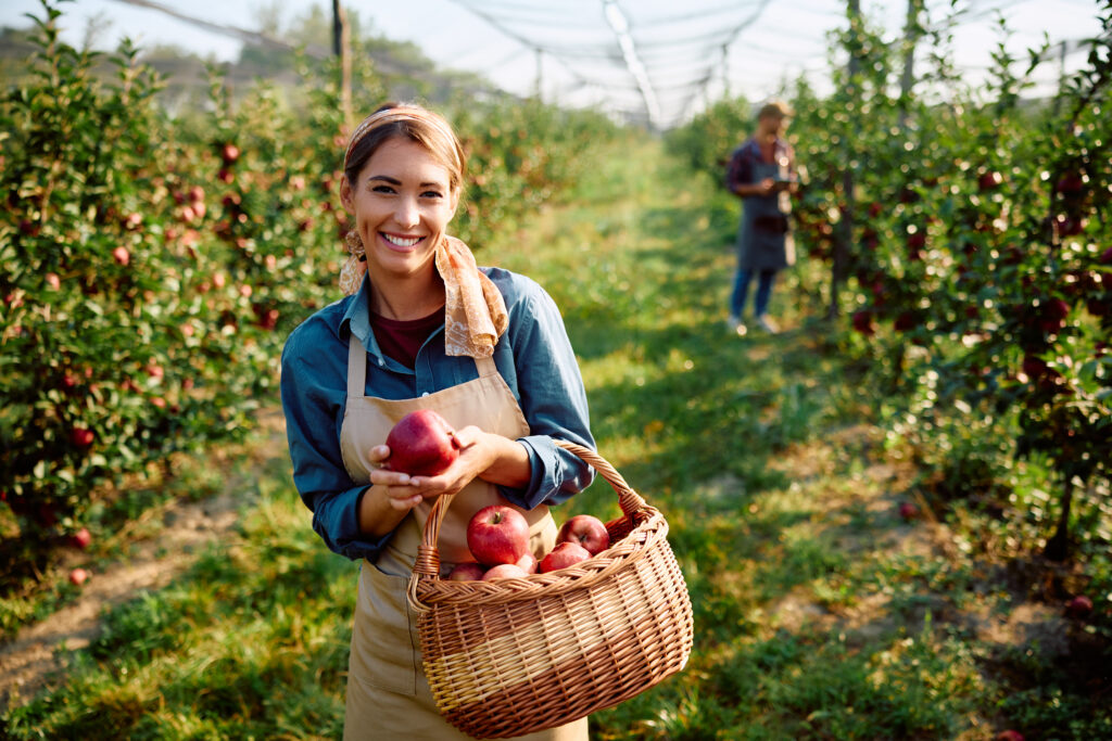 A woman smiling in an apple orchard holding a basket full of red apples in the nook of her arm while presenting a single apple to the camera.